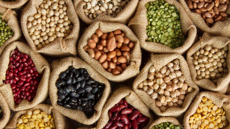 Plant-Based Protein: How to Incorporate More Into Your Diet