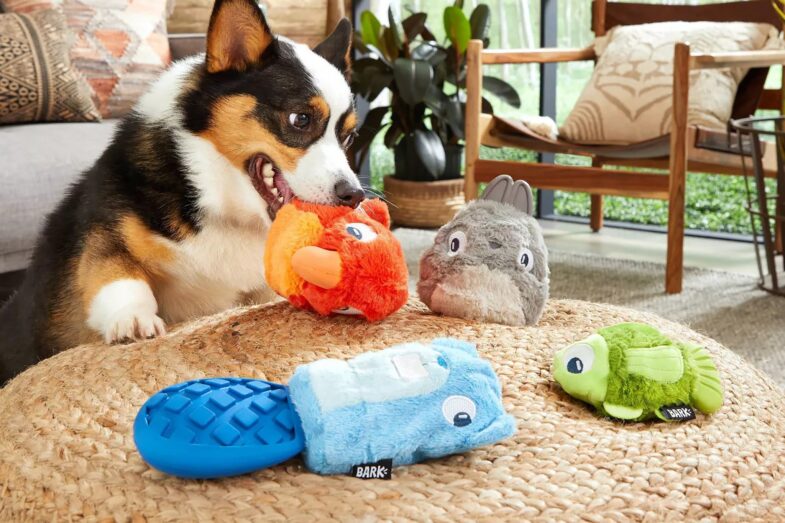 Best Dog Toys 785x523